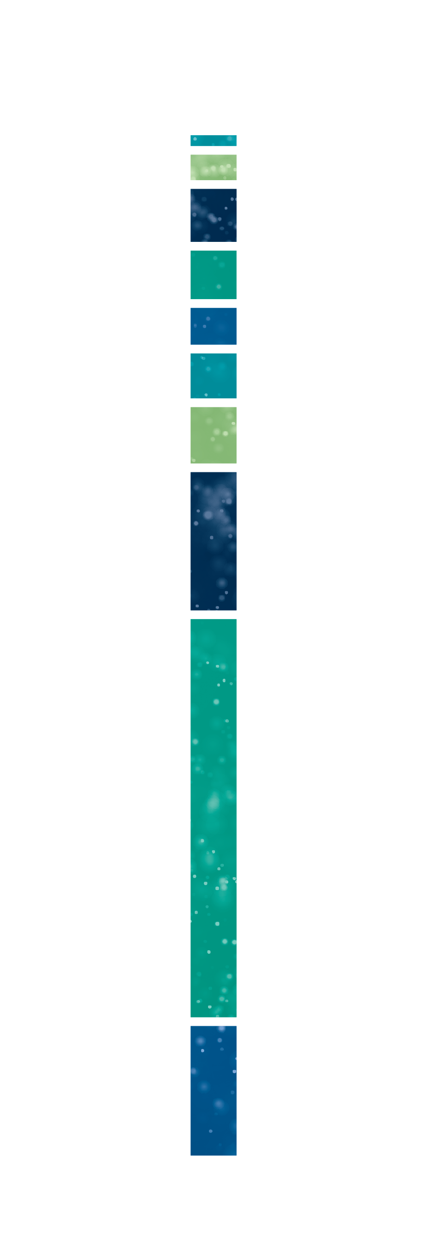2021 Budget Total graphic