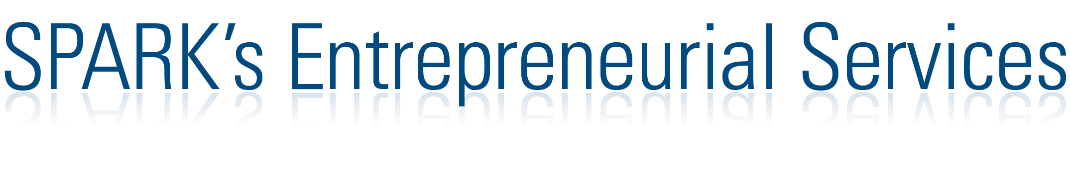 SPARK Entrepreneurial Services 2025 Successes