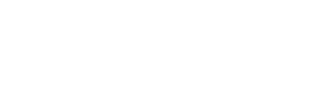 SPARK Capital 2025 Successes