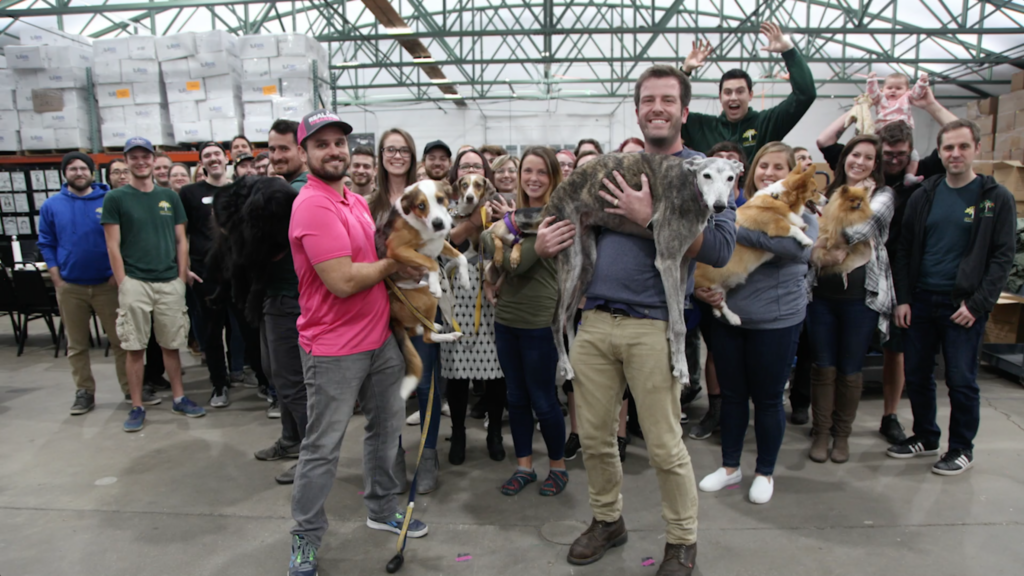 group of happy individuals holding dogs