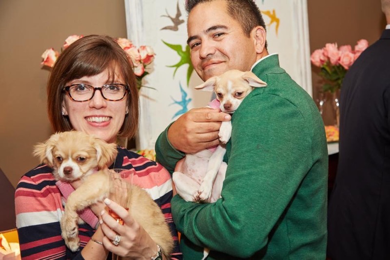 man and woman holding two puppies