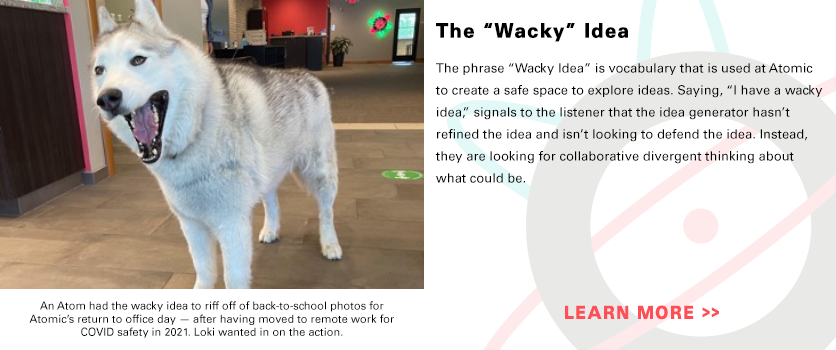 Explanation of "wacky idea"