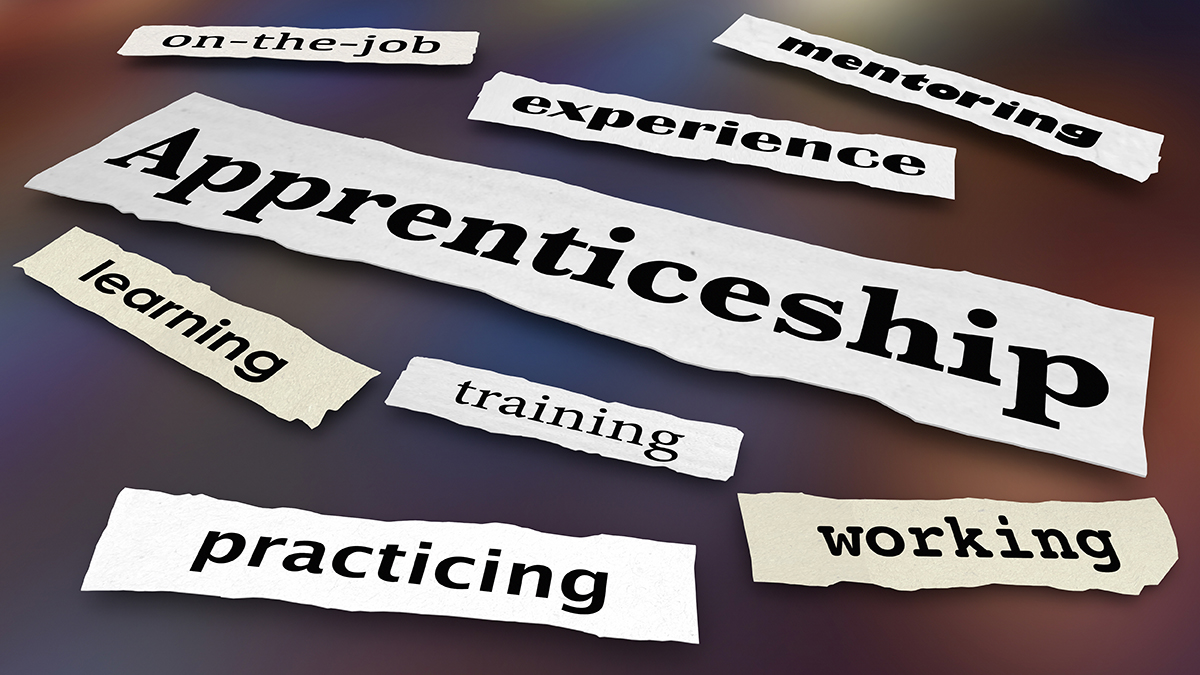Why IT Apprenticeship Programs Are Your Path to Success