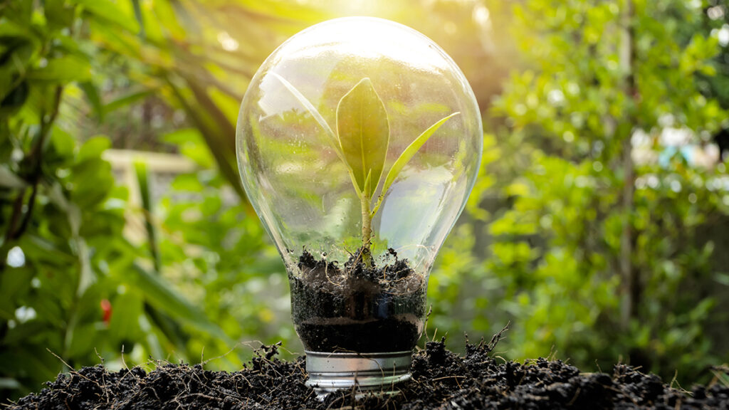 Decorative image of light bulb and nature